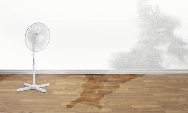 Best Emergency water damage restoration  in Ransomville, NY
