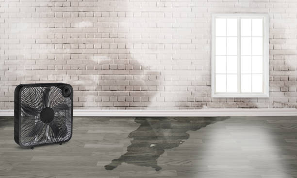 Carpet water damage restoration in Ransomville, NY