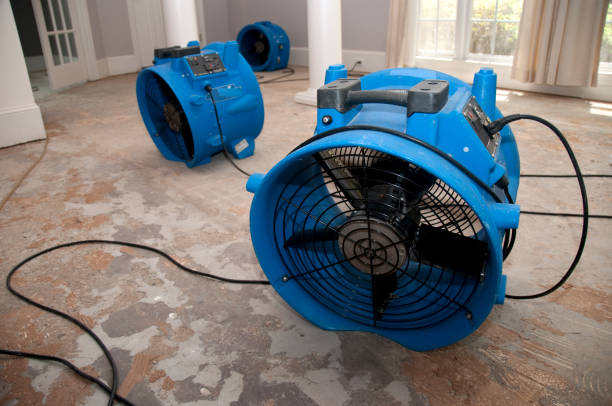 Best Emergency water extraction  in Ransomville, NY