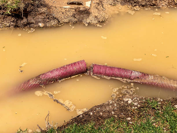  Ransomville, NY Water damage restoration Pros
