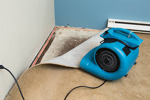 Best 24/7 water damage repair  in Ransomville, NY